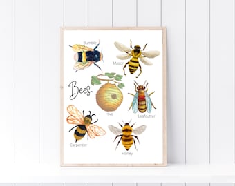 Bees Print, Bee Unit Study, Nature Post Educational Print, Homeschool Decor, Classroom Decor, Bee Decor