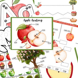 Apple Unit Study, Apple Anatomy, Pre-K Apple Printables, Montessori, Nature Study, Homeschool