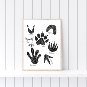 Tierspuren Print, Naturstudie, Tierdekor, Walddruck, Homeschool Wanddekor, pädagogischer Druck