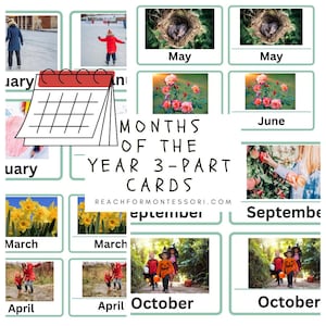 Months of the Year Montessori 3-Part Cards Printable