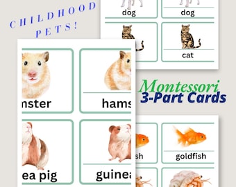 Pets Flashcards: Montessori 3-part Cards, Editable Canva Template (PDF ...