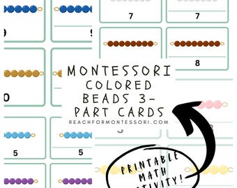 Fruit Montessori 3-part Cards Printable - Etsy