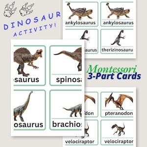 Dinosaurs Montessori 3-Part Cards Printable
