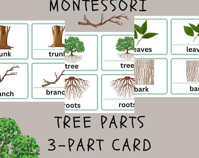 PARTS of a TREE • Montessori Cards • Flash Cards • Three Part Cards ...
