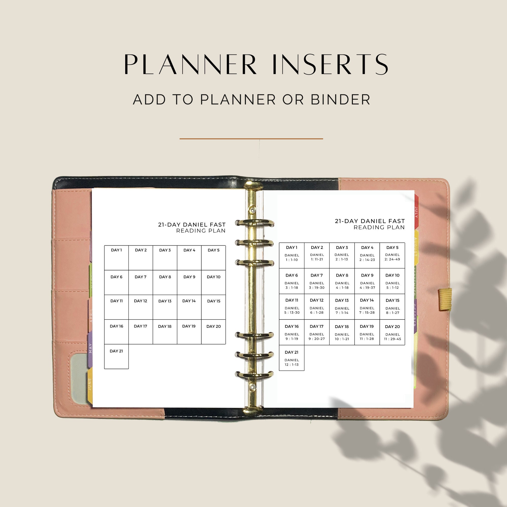 daniel-fast-bible-reading-plan-fillable-printable-pdf-us-letter-a4