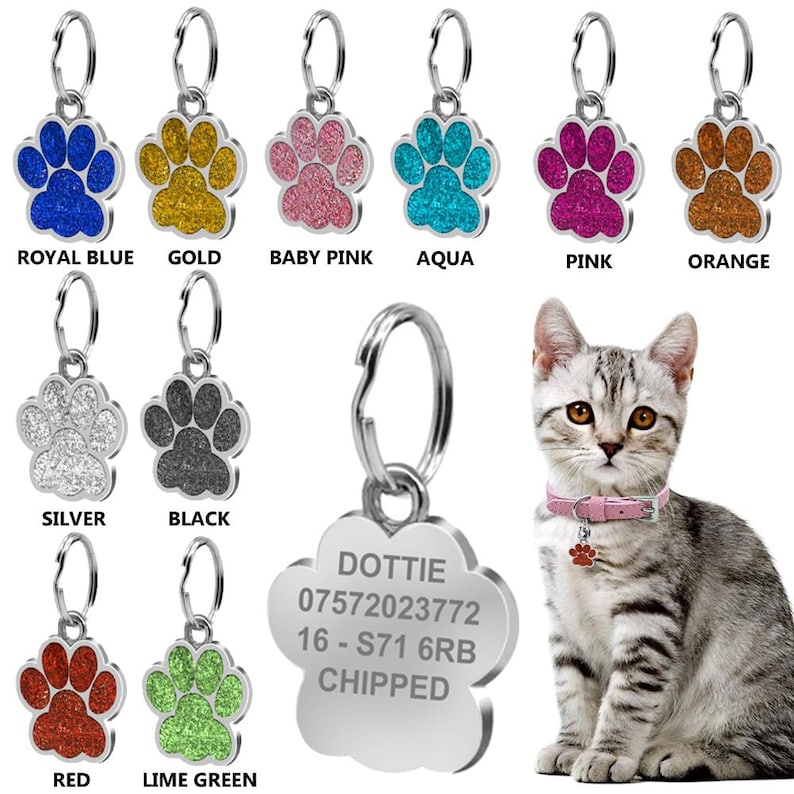 May include: A silver paw print pet ID tag with the text "DOTTIE 07572023772 16-S71 6RB CHIPPED". The tag is shown with a variety of coloured paw print tags in blue, gold, pink, aqua, orange, silver, black, red, and lime green.