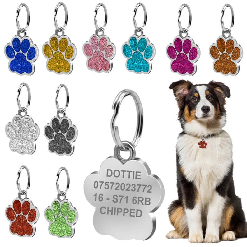 May include: A set of ten silver paw print dog tags with different colored glitter finishes. The tags are shown with a silver ring and a larger silver paw print tag with the text "DOTTIE 07572023772 16 - S71 6RB CHIPPED".