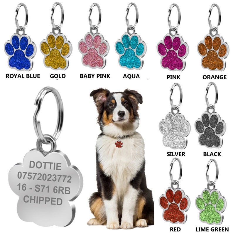 May include: A silver dog tag with a paw print design and the text "DOTTIE 07572023772 16 - S71 6RB CHIPPED". The tag is attached to a silver ring. The image also shows a variety of paw print dog tags in different colors, including royal blue, gold, baby pink, aqua, pink, orange, silver, black, red, and lime green.