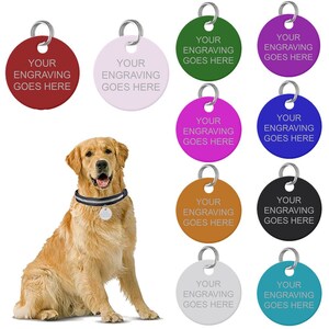 May include: A golden retriever wearing a collar with a silver tag. The image shows a variety of round pet tags in different colours, each with the text "YOUR ENGRAVING GOES HERE" in a silver font. The tags are red, lavender, green, purple, pink, blue, orange, black, grey, and teal.