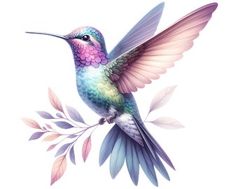 Digital downloadable watercolor print hummingbird high resolution PNG image with transparent background and JPG file with white background