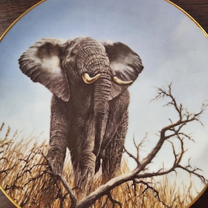 Hutschenreuther Collectible Plate