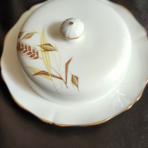 Covered Butter Dish by Northumbria China in Golden Horizon design.
