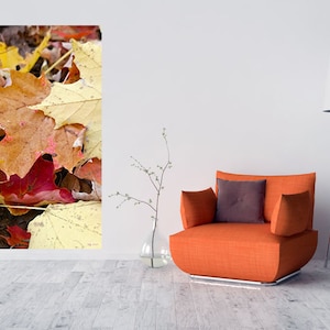 Autumn Leaves Print/ Fall Wall Art/ Autumn decor/Fallen leavesInstant Download Picture, Fall Color, Colourful Leaf, Beautiful Leaves