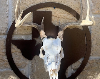 Deer Mount, Texas Euro Mount, Deer hanger