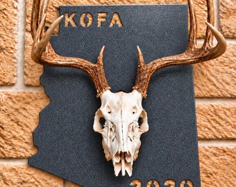 Arizona Metal Deer Mount, Skull mount, Euro mount, European Deer hanger
