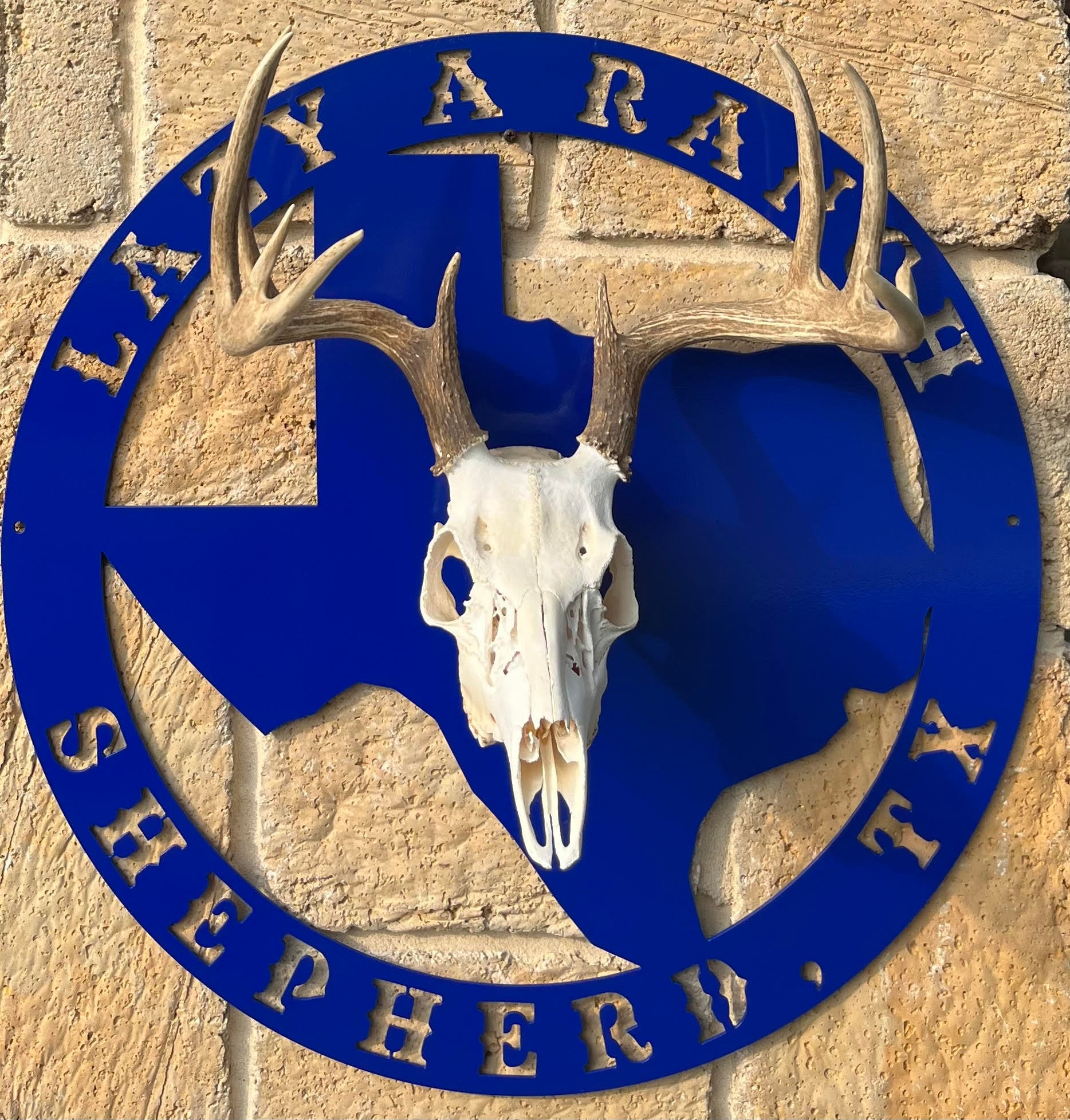 Texas Metal Deer Mount, Skull Mount, Euro Mount, European Mount Etsy