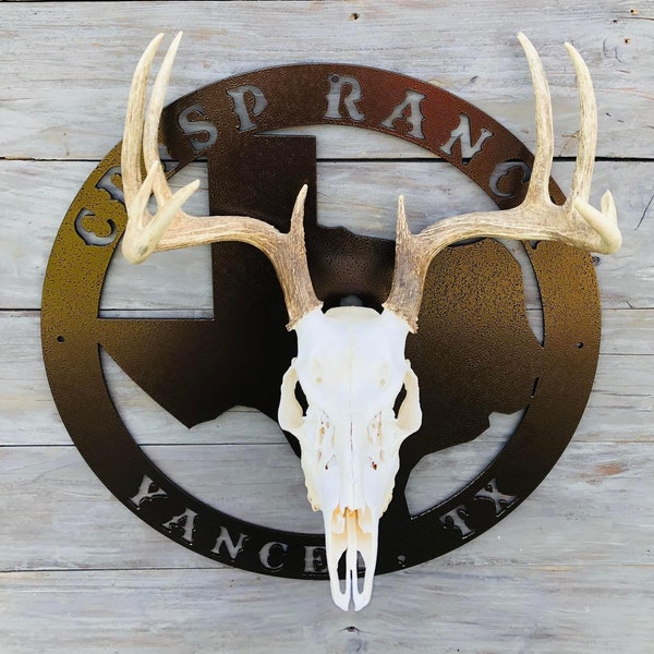 Texas Metal Deer Mount, Skull mount, Euro mount, European mount