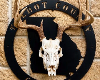Georgia Metal Deer Mount, Skull mount, Euro mount, European mount