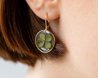 May include: Gold-tone leverback earrings with a clear, circular pendant. Each pendant features a preserved four-leaf clover. The clover is a vibrant green, set against a clear background, and framed by a gold-colored metal.