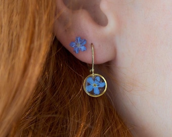 Pendientes pequeños de resina azul con forma de nomeolvides, pendientes de resina epoxi con flores silvestres y flores secas reales, pendientes de flores reales