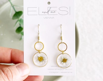 Daisy resin earrings with pressed white blossom, ring charm and ear hooks, daisy wildflower earrings, real flower