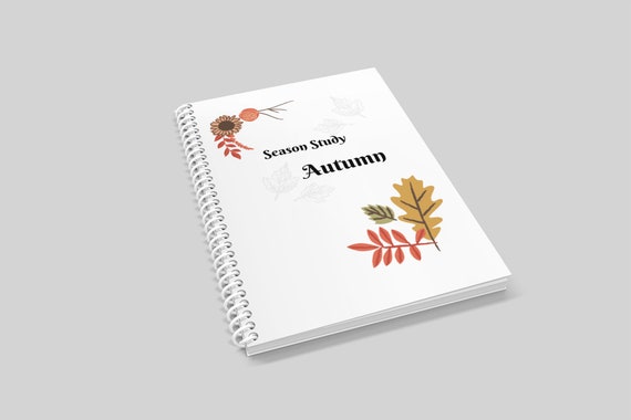 Autumn Fall Study Activity Printable Homeschool Worksheets - Etsy