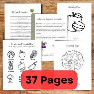 Orchard Nature Study Unit Homeschool Curriculum on Orchards Busy work
