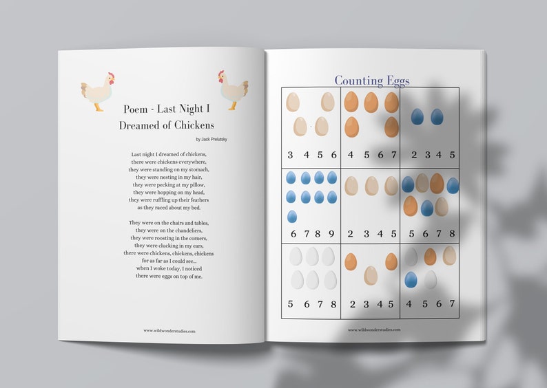 Inside the study includes egg counting and a chicken poem.
Learn about egg laying, chicken anatomy.  
An educational chicken homeschool study printable.  Chicken anatomy.  A little about roosters, charlotte mason inspired.