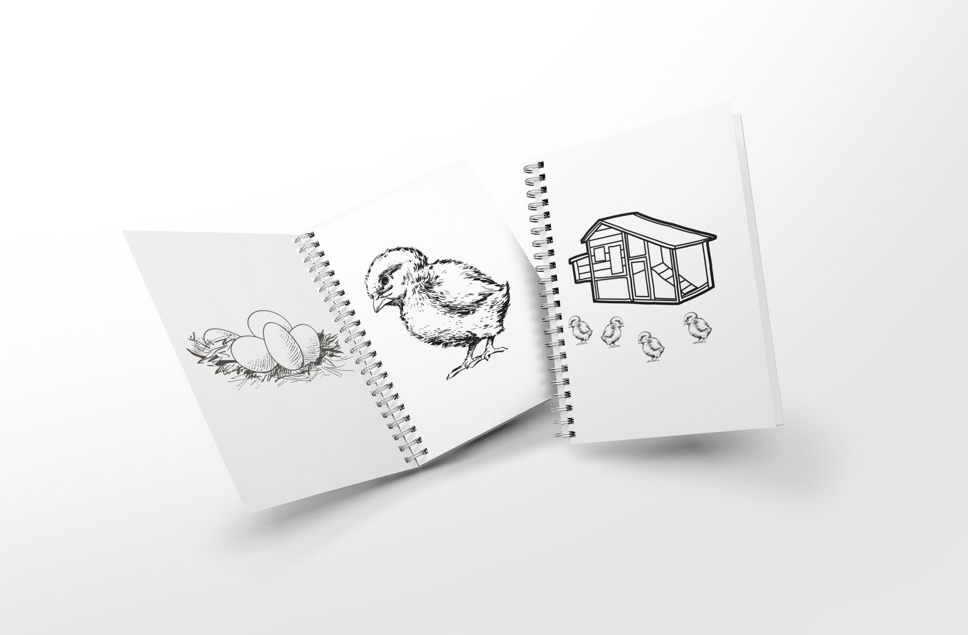 Elementary Coloring Book Chicken Book Unit Homeschool Resource