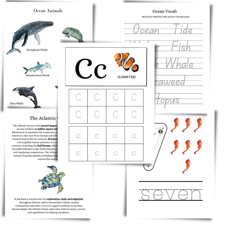 Ocean Study Homeschool Curriculum Atlantic Ocean Charlotte Mason Method ...