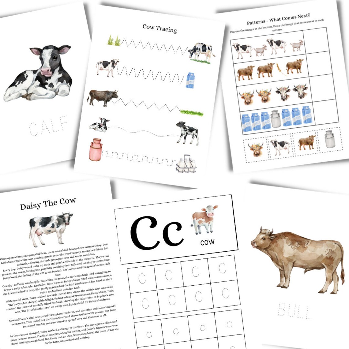 Physical Homeschool Printable Cow Study Animals Educational Resource ...