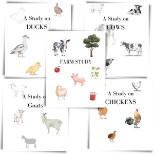 Animal Unit Study Mega Farm Bundle Unit Study Homeschool Chicken Study Duck Study Goat Study Animal Unit study pack Homeschool Curriculum