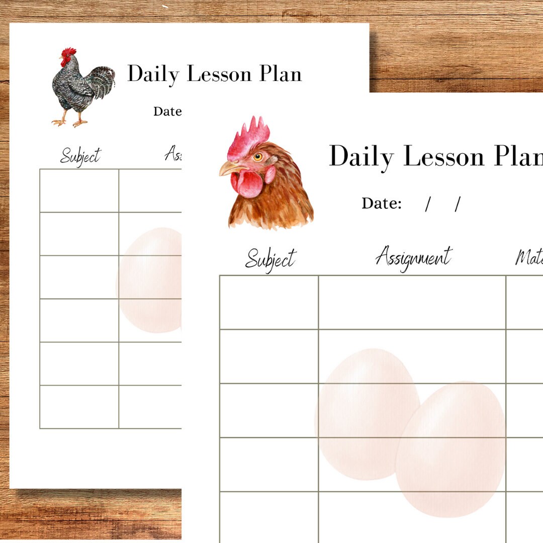 Homeschool daily lesson printable planner daily lesson plans teacher
