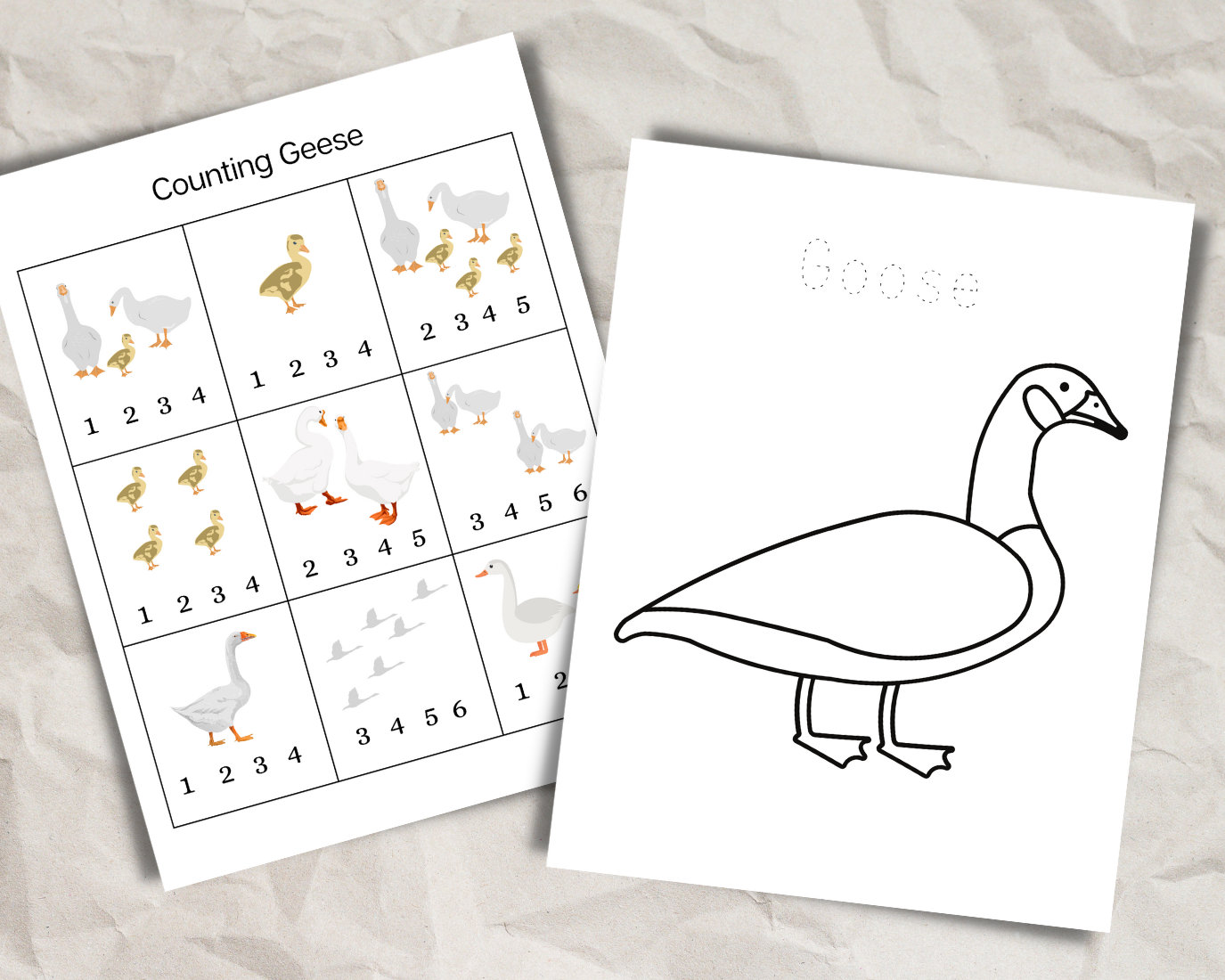 Learning Goose Goose Unit Study | Animal Study for Homeschool Curriculum | Education ...