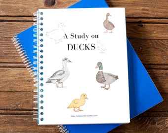 Printed Duck Study - Homeschool Worksheets - Nature study Charlotte Mason - Animals