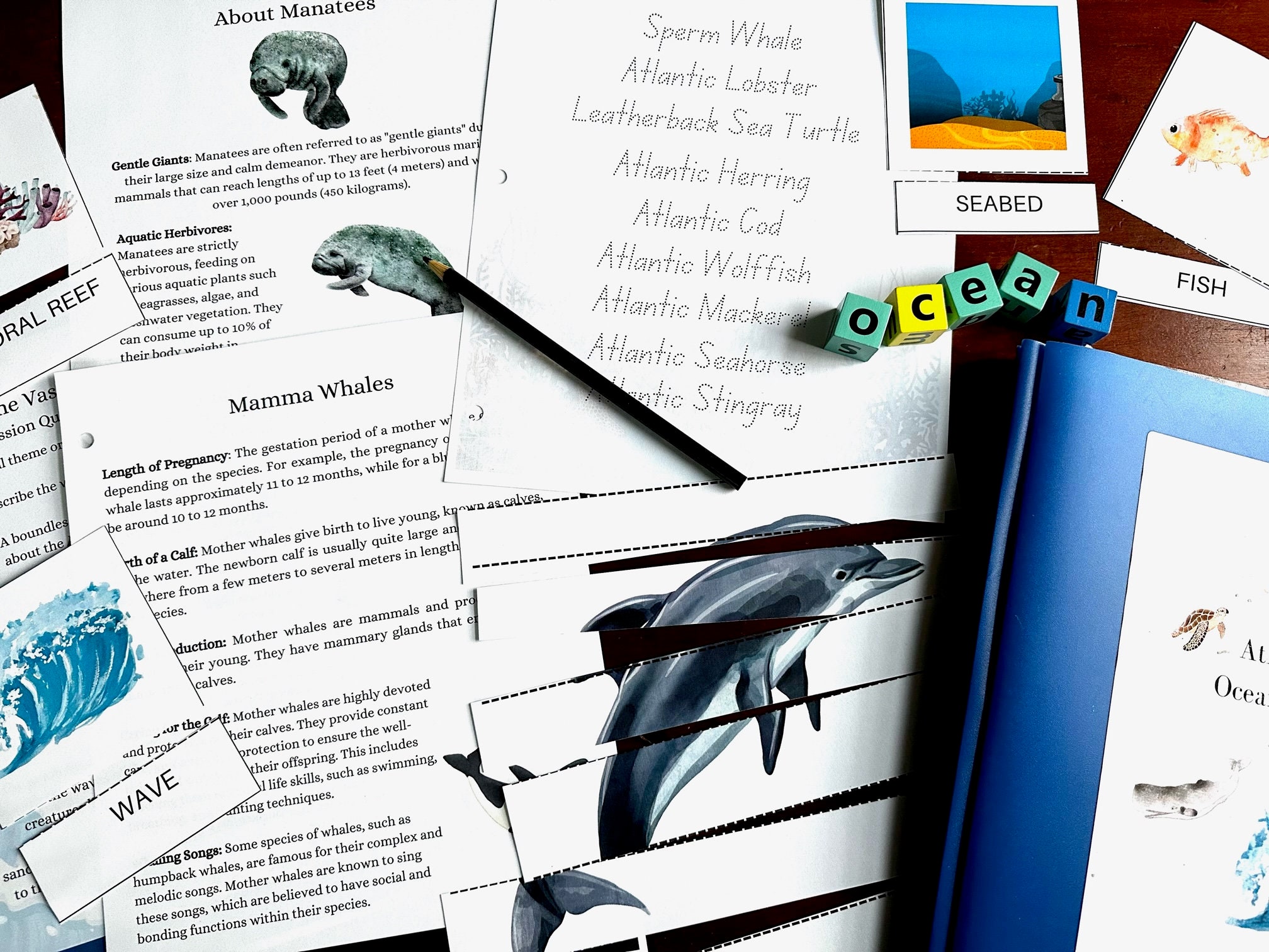 Ocean Study Homeschool Curriculum Atlantic Ocean Charlotte Mason Method ...