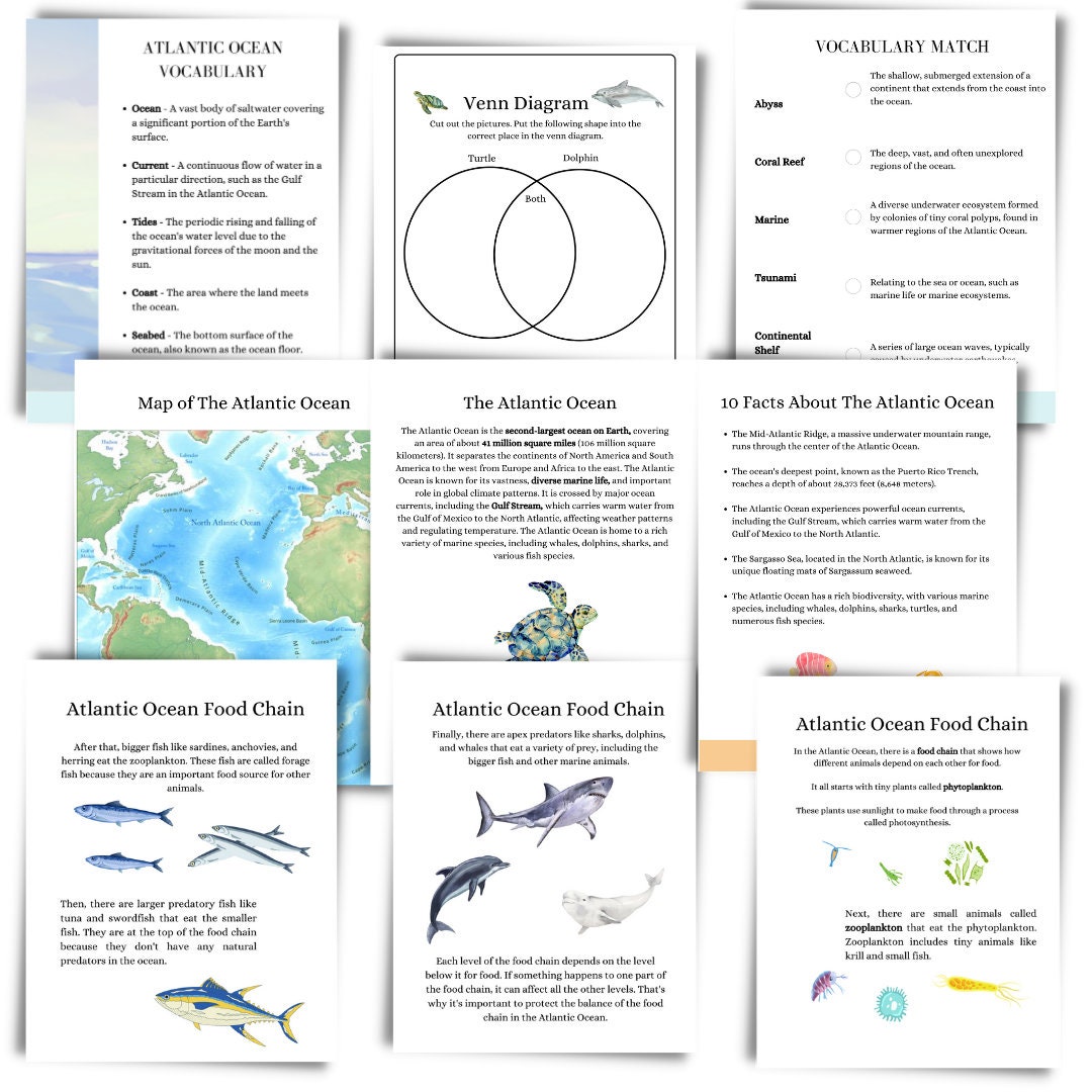 Ocean Study Homeschool Curriculum Atlantic Ocean Charlotte Mason Method ...