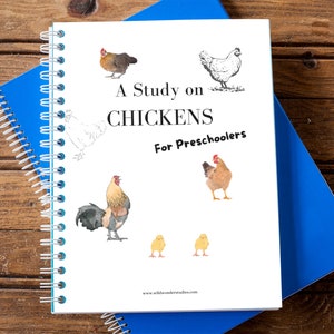 Printed Chicken Study - Printable for Preschool and Kindergarten - Homeschool Worksheets - Nature study Charlotte Mason