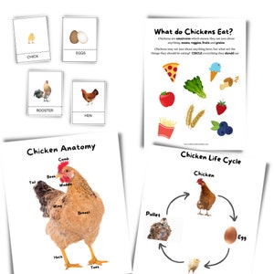 Preschool Printable Kindergarten Curriculum Homeschool Worksheet Nature study Charlotte Mason Homeschool Activity Work Chicken Learning Unit