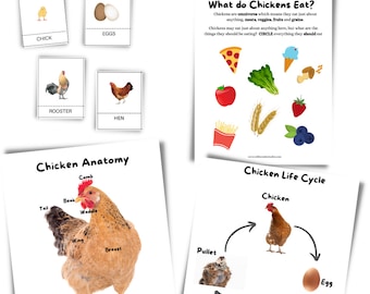 Preschool Printable Kindergarten Curriculum Homeschool Worksheet Nature study Charlotte Mason Homeschool Activity Work Chicken Learning Unit