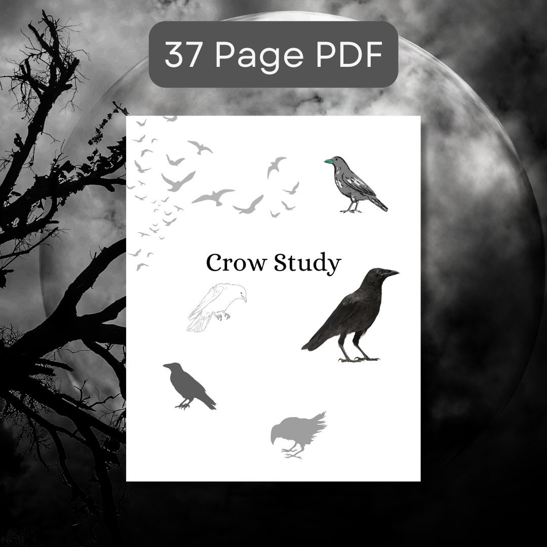 Animal Unit Study Crow Learning Homeschool Curriculum Study Bundle