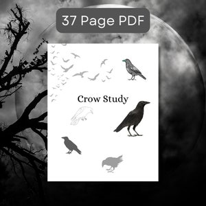 Animal Study Crows Halloween Inspired Printables Crow study bundle worksheets