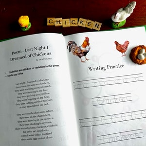 Chicken activity pages morning basket toddler learning homeschool printable