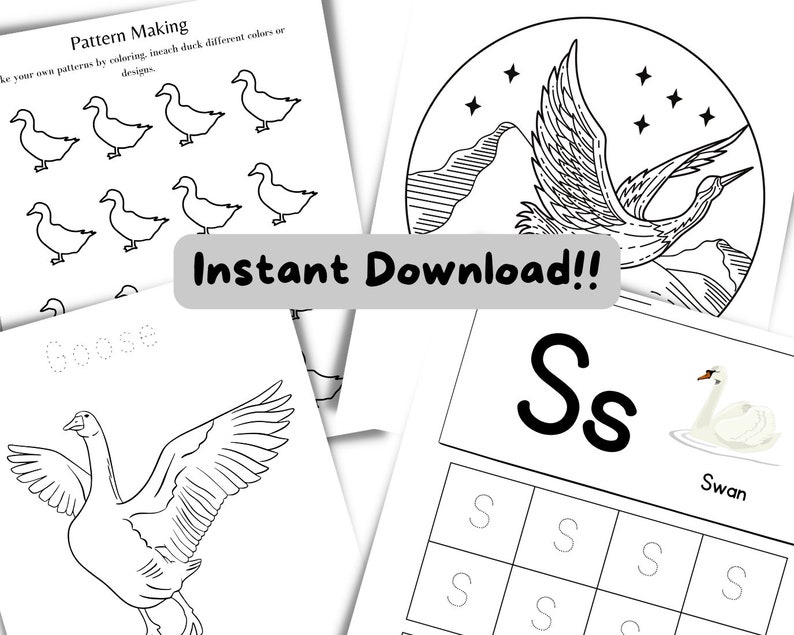 Homeschool Printable Activity Preschool Learning Lesson