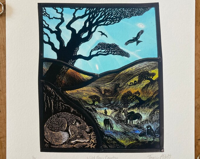 Wild Pony Country (signed and Numbered Print by Tamsin Abbott) - Etsy ...