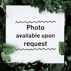 May include: A white card with black text that reads "Photo available upon request" surrounded by green leaves.