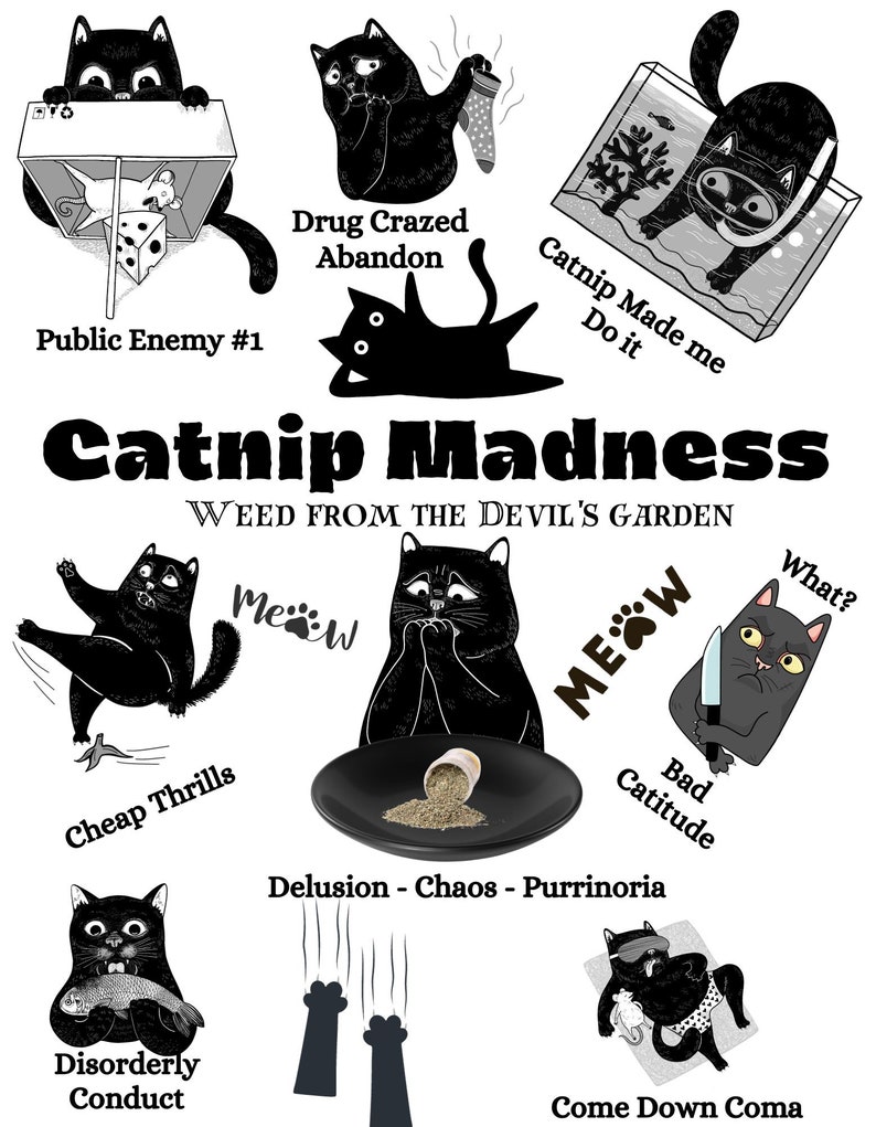 Catnip Madness PNG File Digital Download Instant Download - Etsy