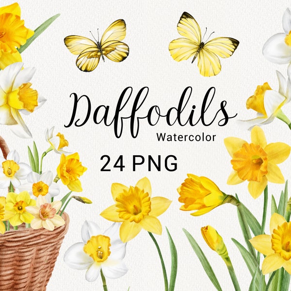 Aquarell Narzissen Clipart, Gelber Schmetterling, Frühlingsblumen, Osterblumen, Narzissus, Rustikal, Hochzeitseinladung, Scrapbooking DIY PNG