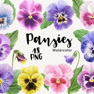 Watercolor Pansy clipart, Purple pansies flower clip art, spring floral plants clipart, wedding invitations, Digital download PNG Inactive