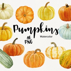 Kürbis Clipart, Aquarell Herbst Clipart, orange und grün Niedliche Kürbisse Gemüse digitale Clipart. Scrapbooking, Hochzeit, PNG DIY